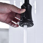 Pull Down Dual Handle Kitchen Faucet
