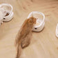 Smart Pet Feeder Prevent Stealing Accurate