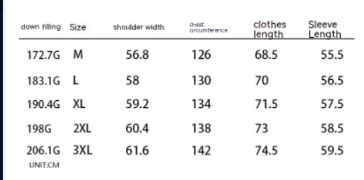 Personal Leisure Stand-up Collar Down Jacket Men's High Street Loose Warm