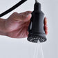 Pull Down Dual Handle Kitchen Faucet
