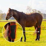 Portable Phototherapy Instrument For Recovering Horse's Back Knee