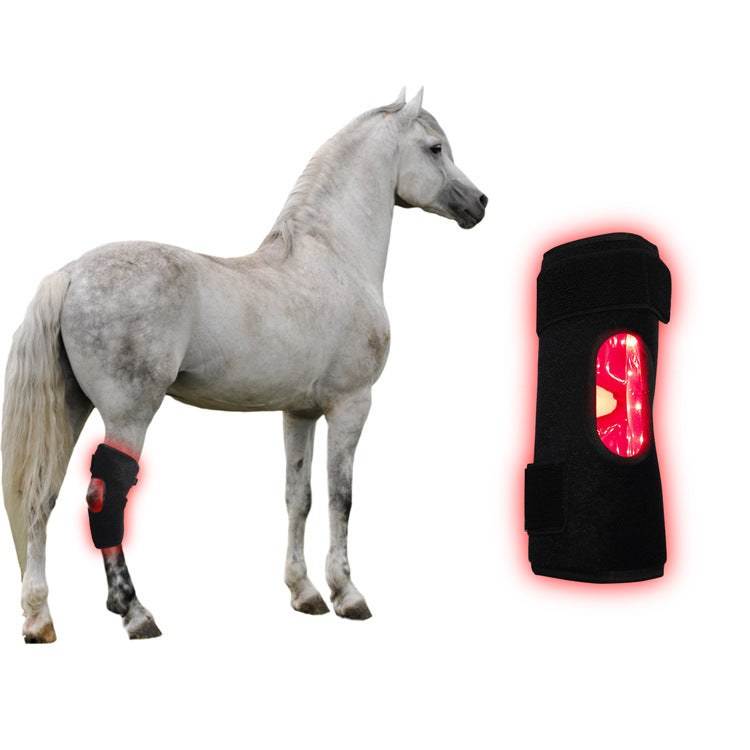 Portable Phototherapy Instrument For Recovering Horse's Back Knee