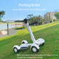 Four Wheel Golf Electric Folding Light Longboard Lawn Course Scooter