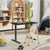 Electric Standing Desk Whole Piece Adjustable Height Desk Home Office Computer Workstation Sit Stand Up Desk