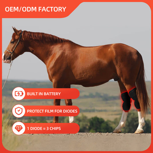 Portable Phototherapy Instrument For Recovering Horse's Back Knee