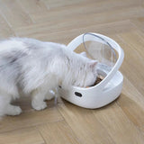 Smart Pet Feeder Prevent Stealing Accurate