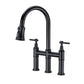 Pull Down Dual Handle Kitchen Faucet