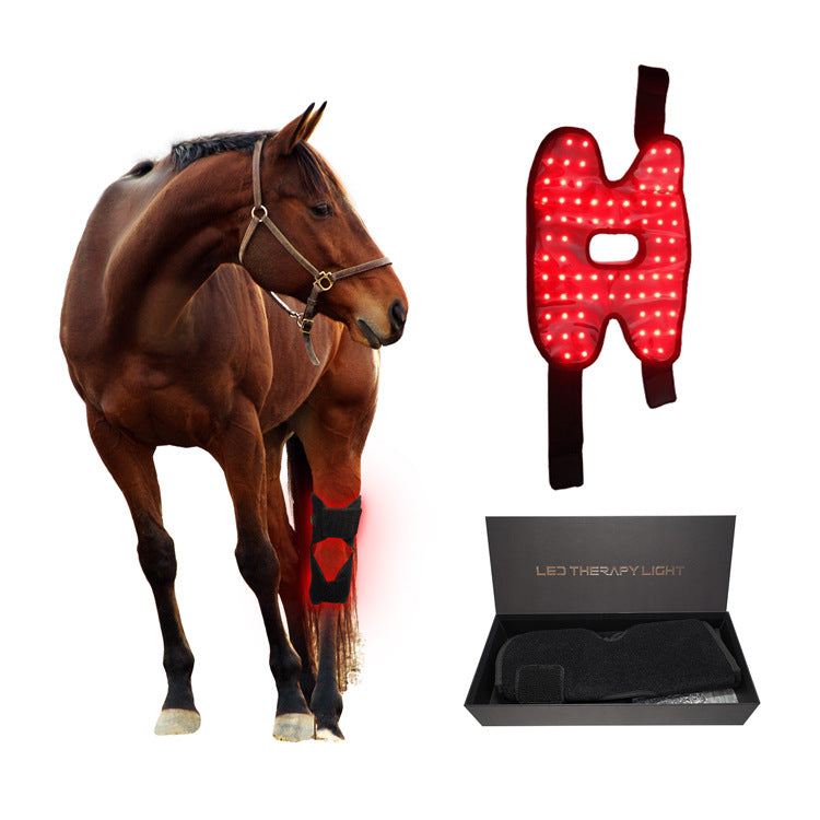 Portable Phototherapy Instrument For Recovering Horse's Back Knee